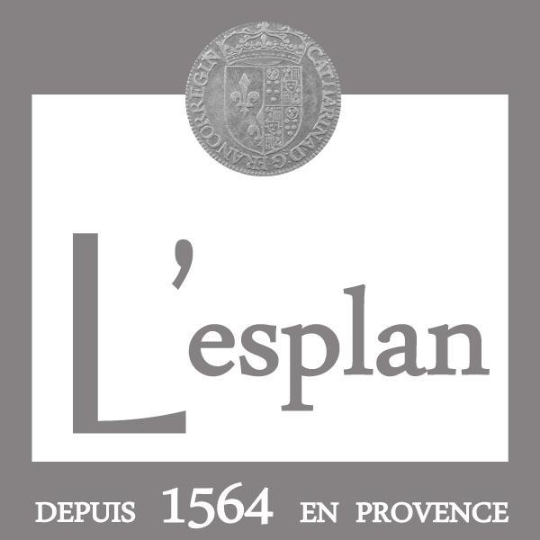 Hotel L'Esplan Saint-Paul-Trois-Châteaux Zewnętrze zdjęcie
